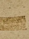 20261022_011837.webp